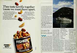 Better Homes & Gardens June 1990 Magazine Article: Page 169