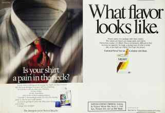 Better Homes & Gardens June 1990 Magazine Article: Page 181