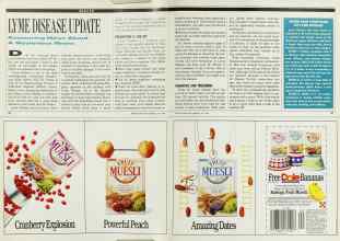 Better Homes & Gardens July 1990 Magazine Article: Page 42