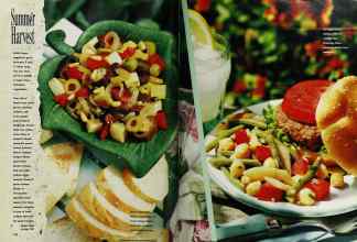 Better Homes & Gardens July 1990 Magazine Article: Page 100