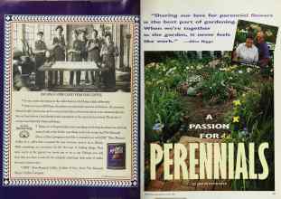 Better Homes & Gardens August 1990 Magazine Article: Page 66