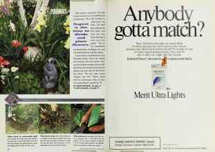 Better Homes & Gardens August 1990 Magazine Article: Page 70