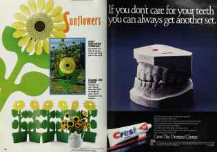 Better Homes & Gardens August 1990 Magazine Article: Page 134