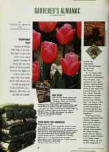 Better Homes & Gardens September 1990 Magazine Article: TRIUMPHANT TULIP