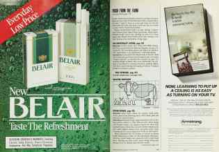 Better Homes & Gardens September 1990 Magazine Article: Page 114