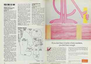 Better Homes & Gardens September 1990 Magazine Article: Page 116