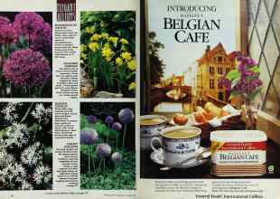 Better Homes & Gardens October 1990 Magazine Article: Page 24