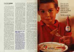 Better Homes & Gardens October 1990 Magazine Article: Page 36