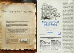 Better Homes & Gardens October 1990 Magazine Article: Page 153