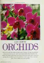 Better Homes & Gardens November 1990 Magazine Article: EASY-GROWING ORCHIDS