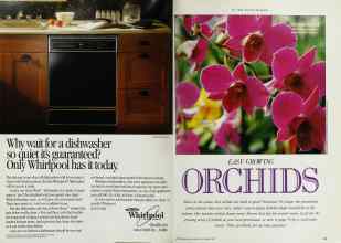 Better Homes & Gardens November 1990 Magazine Article: Page 24