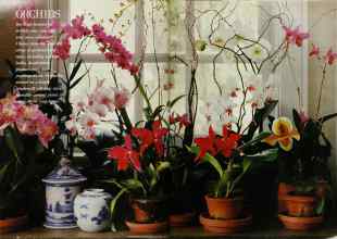 Better Homes & Gardens November 1990 Magazine Article: Page 26