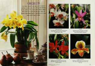 Better Homes & Gardens November 1990 Magazine Article: Page 28