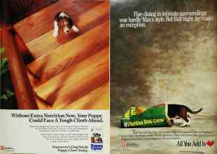 Better Homes & Gardens November 1990 Magazine Article: Page 169