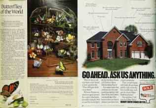 Better Homes & Gardens November 1990 Magazine Article: Page 183