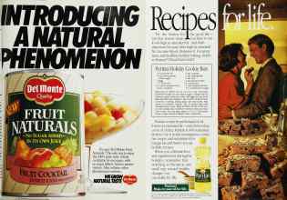 Better Homes & Gardens November 1990 Magazine Article: Page 203