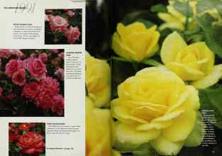 Better Homes & Gardens January 1991 Magazine Article: Page 18