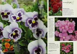 Better Homes & Gardens January 1991 Magazine Article: Page 20