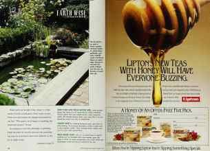 Better Homes & Gardens March 1991 Magazine Article: Page 20