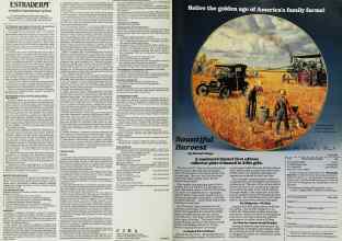 Better Homes & Gardens March 1991 Magazine Article: Page 28