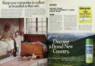 Better Homes & Gardens March 1991 Magazine Article: Page 106