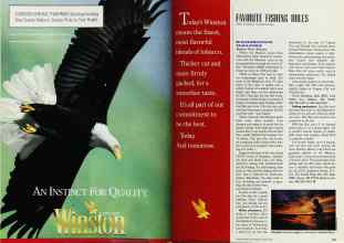 Better Homes & Gardens March 1991 Magazine Article: Page 184