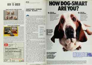 Better Homes & Gardens March 1991 Magazine Article: Page 190