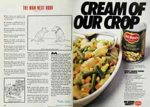 Better Homes & Gardens March 1991 Magazine Article: Page 200