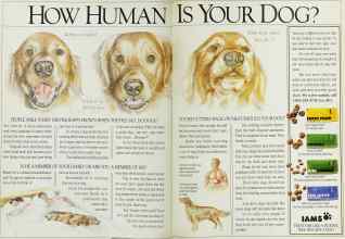 Better Homes & Gardens April 1991 Magazine Article: Page 16