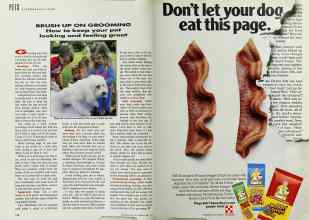 Better Homes & Gardens April 1991 Magazine Article: Page 178