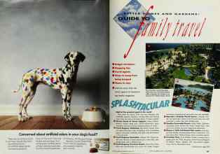 Better Homes & Gardens April 1991 Magazine Article: Page 182