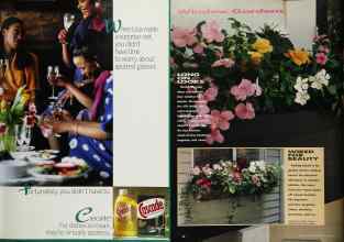 Better Homes & Gardens May 1991 Magazine Article: Page 23