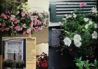 Better Homes & Gardens May 1991 Magazine Article: Page 25