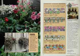 Better Homes & Gardens May 1991 Magazine Article: Page 27