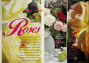 Better Homes & Gardens May 1991 Magazine Article: THE NEW LOOK OF OLD Roses
