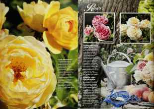 Better Homes & Gardens May 1991 Magazine Article: Page 35