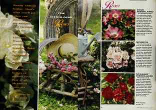 Better Homes & Gardens May 1991 Magazine Article: Page 39