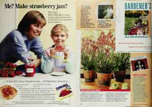 Better Homes & Gardens May 1991 Magazine Article: Page 41