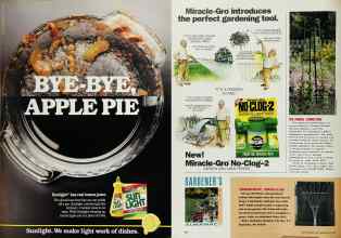 Better Homes & Gardens May 1991 Magazine Article: Page 43