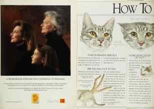 Better Homes & Gardens May 1991 Magazine Article: Page 185