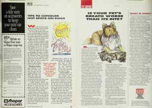 Better Homes & Gardens May 1991 Magazine Article: Page 189