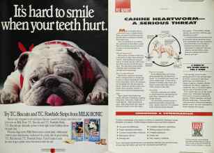 Better Homes & Gardens May 1991 Magazine Article: Page 191