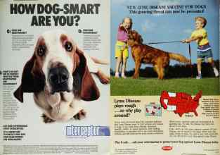 Better Homes & Gardens May 1991 Magazine Article: Page 193