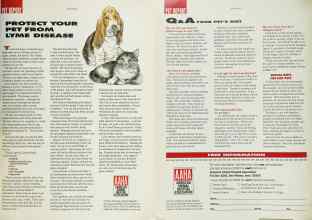 Better Homes & Gardens May 1991 Magazine Article: Page 195