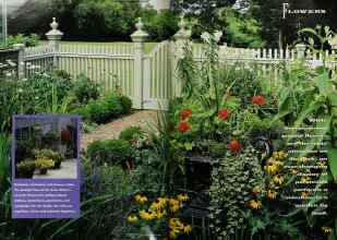 Better Homes & Gardens June 1991 Magazine Article: Page 84