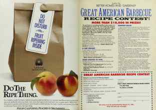 Better Homes & Gardens June 1991 Magazine Article: Page 110