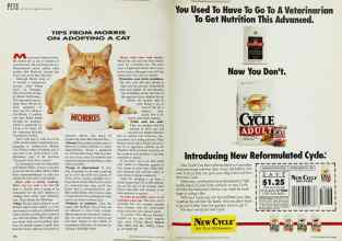 Better Homes & Gardens June 1991 Magazine Article: Page 134