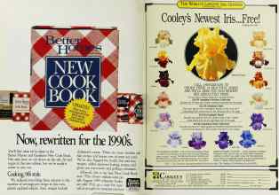 Better Homes & Gardens June 1991 Magazine Article: Page 150