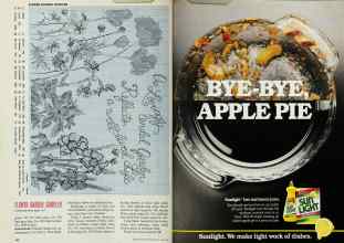 Better Homes & Gardens June 1991 Magazine Article: Page 152