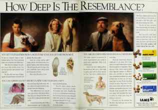 Better Homes & Gardens July 1991 Magazine Article: Page 10